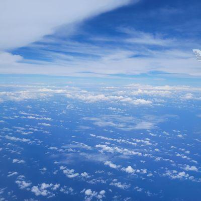 photo of Youngmin Y.