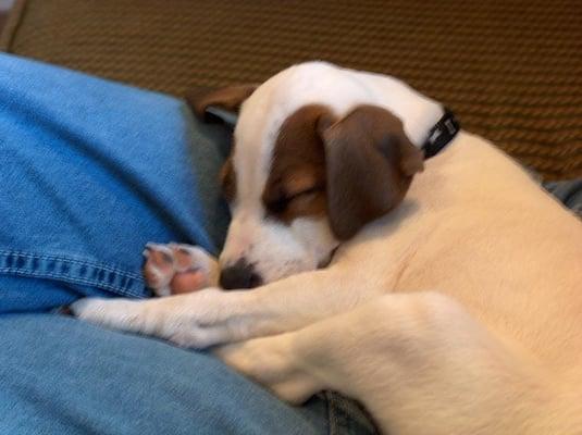 Photo of DuckyCharms N.