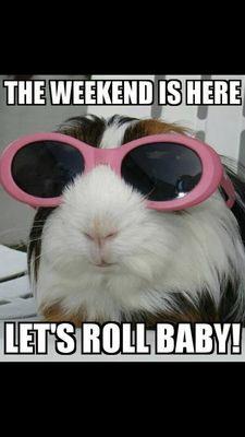 photo of Virginia Guitron G.