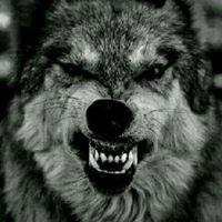 photo of Veronica M.