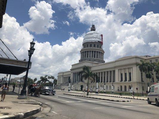 photo of Evamarie P.