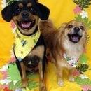 Photo of Doraemon M.