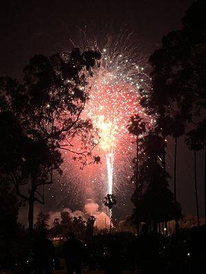 photo of Stephanie C.