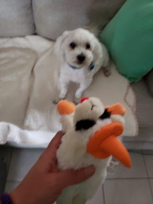 Photo of Angel C.