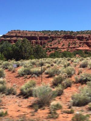 photo of Catherine L.