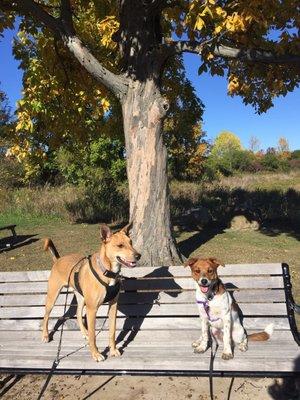 photo of Gabrielle M.