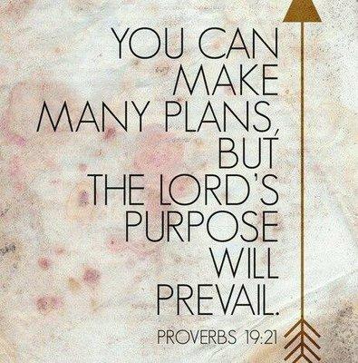 photo of Jjfannie J.