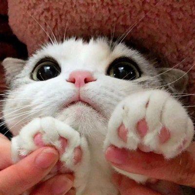 Photo of Miao M.