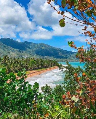 photo of Ivonne N P.