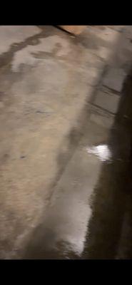 photo of Jeancarlo M.