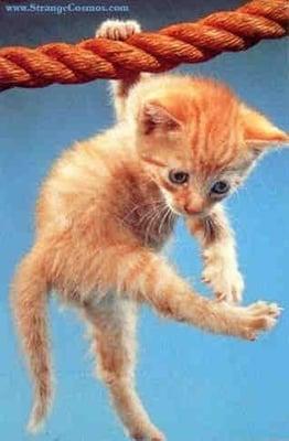 photo of Michelle D.