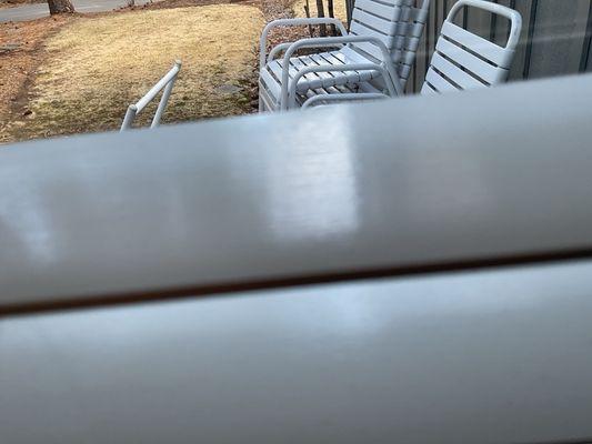 Photo of Sam And Sadie R.