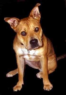 Photo of Wendy D.