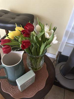 photo of Patricia M.