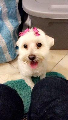 Photo of Michelle B.