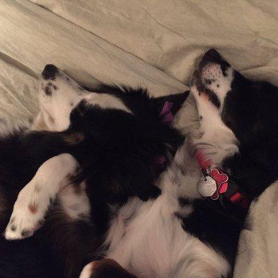 photo of Vanessa N Jim S.