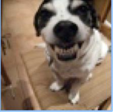 photo of K. Padraig O.