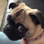 photo of Jacqueline E.