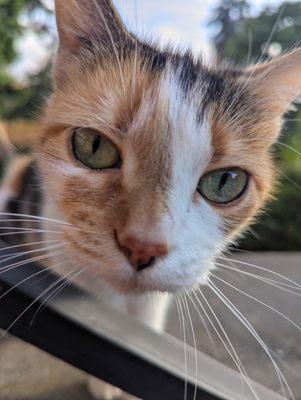 Photo of Aye E.