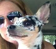 photo of Danielle H.