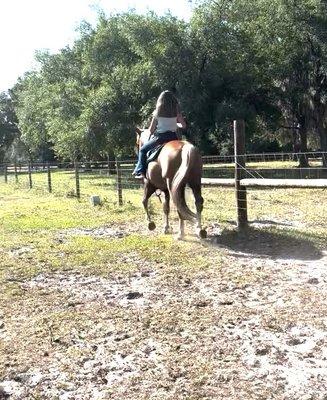 photo of Chaislee M.