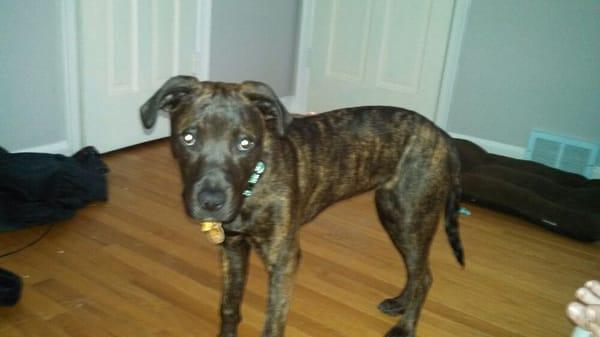 photo of Elizabeth B.