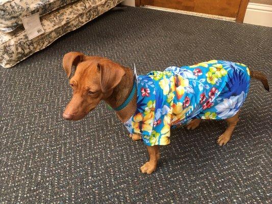 photo of Business P.