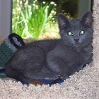 photo of Rashelle H.