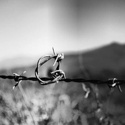 photo of Torbellino D.