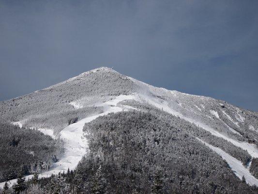 Photo of Margaret H.