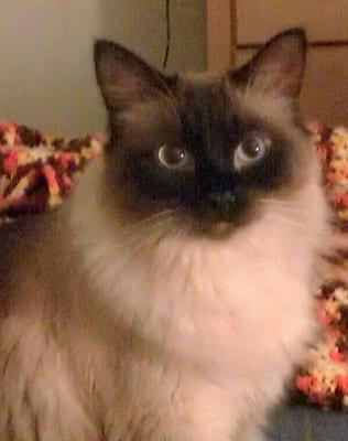 Photo of Momma C.