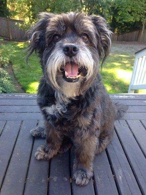 photo of Caroline D.