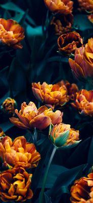 photo of Jennifer G.