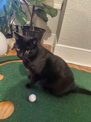 photo of Caroline K.