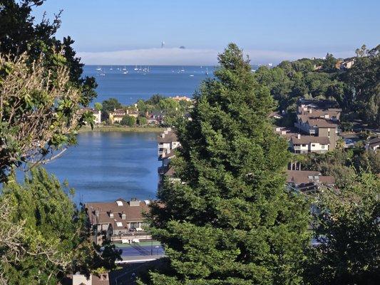 photo of Josephine J.