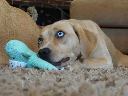 photo of Christine R.