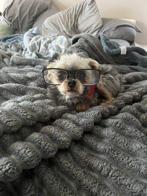 Photo of Luna O.