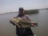 Photo of Sean K.