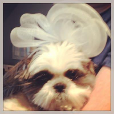 photo of Elizabeth H.