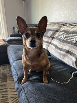 photo of Alexandra T.