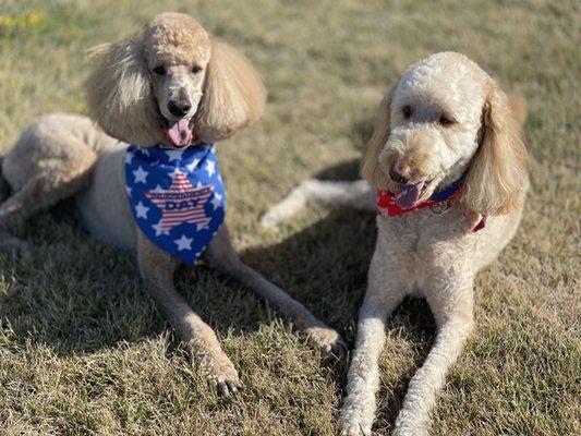 photo of Michelle A.