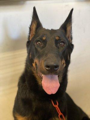 photo of Priscilla L.