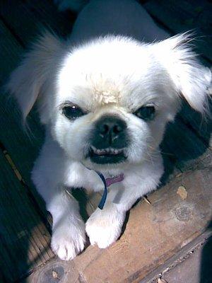 photo of Elizabeth B.