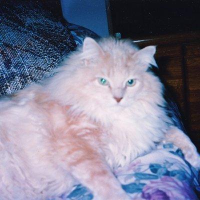 photo of Patricia F.