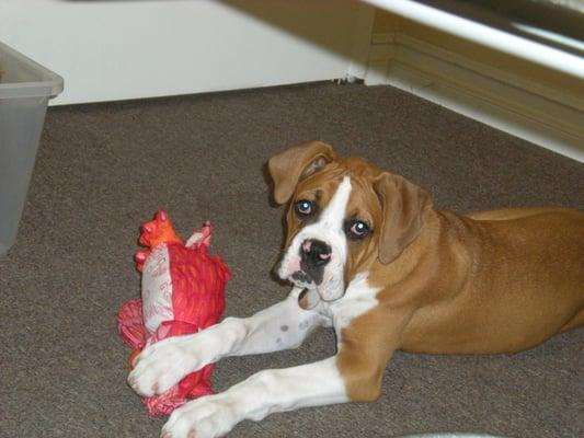 Photo of Tyson B.