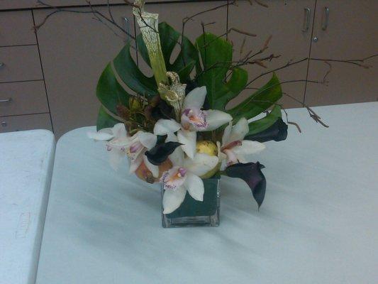 photo of Lainesbj L.