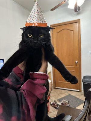 Photo of Rat q.