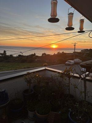 photo of Fernando C.