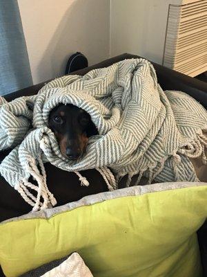 photo of Tiff Is A G.