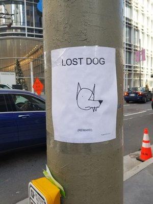 photo of Dilpreet S.